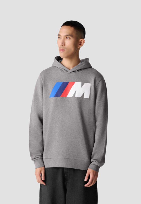 Hoodie Standard M BMW M Core