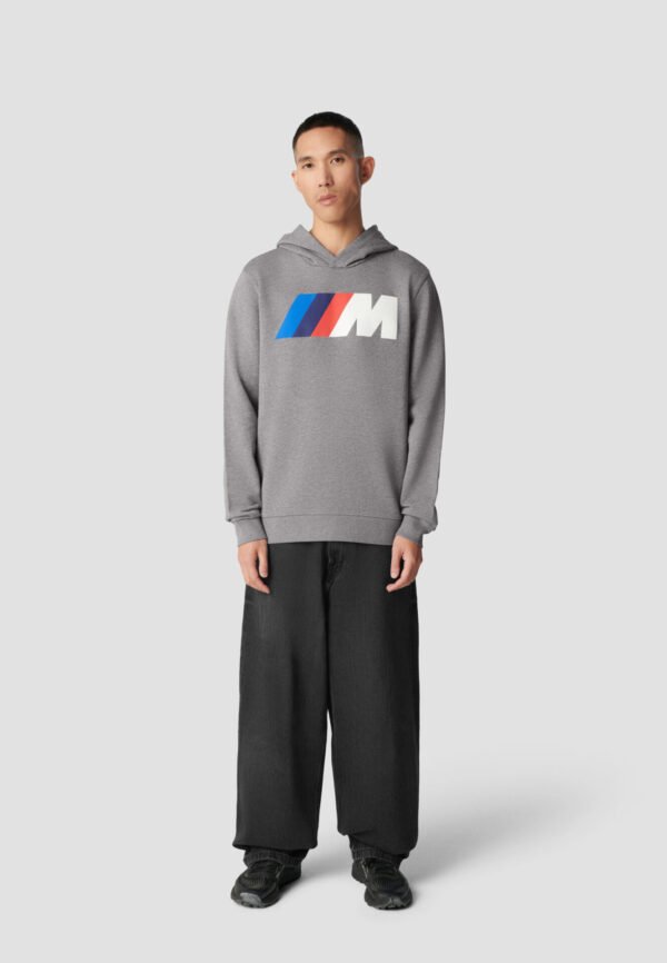 Hoodie Standard M BMW M Core