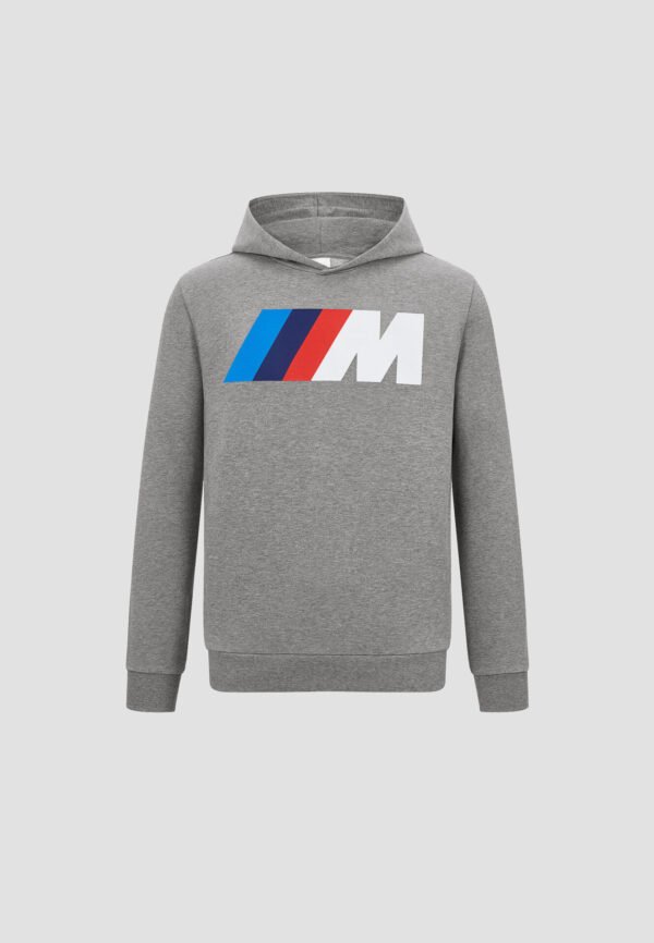 Hoodie Standard M BMW M Core